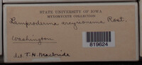 Image Associated With the Occurence